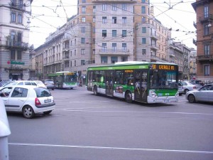 Photo by Wikipedia